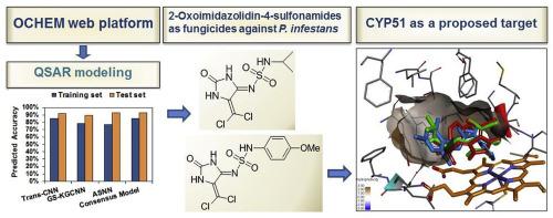 In silico modeling and experimental validation of 2-oxoimidazolidin-4-sulfonamides as low-toxicity fungicides against Phytophthora infestans