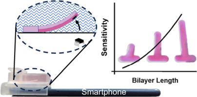 Smart hydrogels with order-of-magnitude enhanced sensitivity for smartphone compass-based chemical sensing