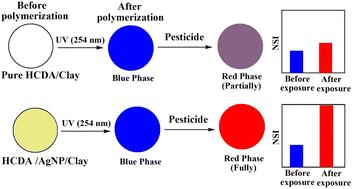 Green-synthesized silver nanoparticle-modulated polydiacetylene-based colorimetric pesticide sensor†