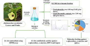 Antidiabetic potential of Abelmoschus esculentus leaves and fruits: a comparative study assisted by chemical profiling, in vitro and in silico studies