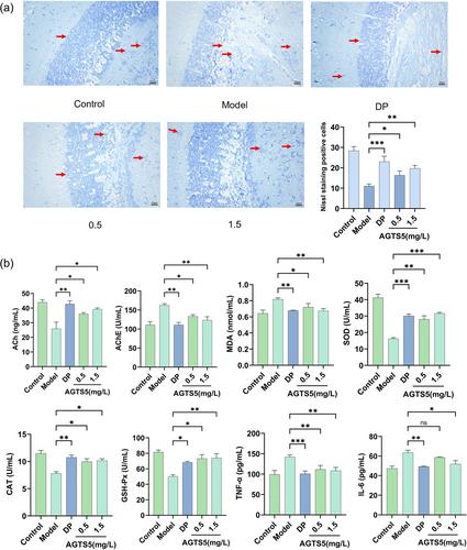 Neuroprotection and Enhanced Learning and Memory Abilities of Steamed American Ginseng (Panax quinquefolium L.) Based on Zebrafish