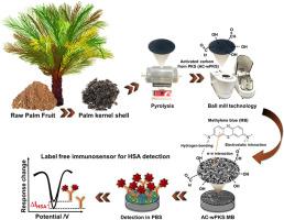 An affordable label free immunosensor based on activated carbon synthesized from waste palm kernel shell with the aid of ball milling technology for HSA detection