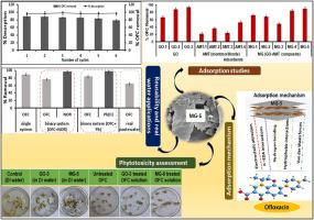 Graphene oxide/montmorillonite nanocomposite for removal of antibiotics from wastewater