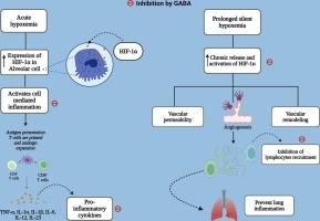 GABA and GABAergic dysfunction in COVID-19: Piecing the puzzle with targeting immunity and several inflammatory pathways