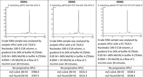 Peptide–Oligonucleotide Conjugates: Catalytic Preparation in Aqueous Solution or On-Column