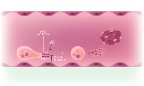 New horizons in the pharmacological management of venous thromboembolism