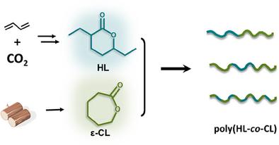 Copolymerizations of a CO₂/Butadiene Derived Six-Membered Lactone with ε-Caprolactone