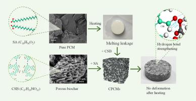 Molecular dynamics simulation of thermal properties and morphological stability of biochar-based composite phase change materials