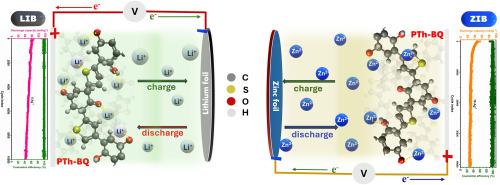 Stable, high rate capable, benzoquinone - thiophene co-polymer electrode for non-aqueous lithium-ion and zinc-ion batteries