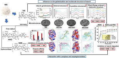 Insights into the mechanism of hyaluronic acid and its derivatives reducing starch digestibility: Gelatinization, multiscale structures, and enzyme activity