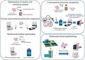 Wastewater-based epidemiology for waterborne protozoa: a comparison of analytical methods for detecting Cryptosporidium spp.