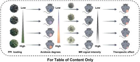 Real-time magnetic resonance visualization of tumor acidosis as a precognition indicator of therapeutic efficacy