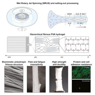 Biomimetic hierarchical fibrous hydrogels with high alignment and flaw insensitivity