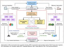 Demographic shifts and agricultural production efficiency in the context of urban-rural transformation: Complex networks and geographic differences