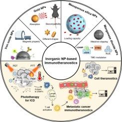 Inorganic nanoparticle-based cancer immunotheranostics