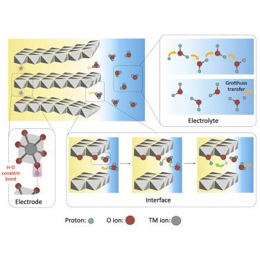 Proton storage and transfer in aqueous batteries