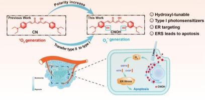 Hydroxyl-tunable type I photosensitizer based on curcumin for photodynamic therapy against hypoxic tumor cells