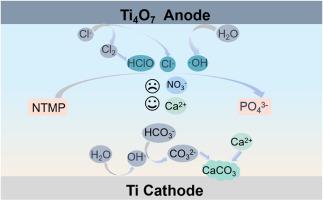 Efficient phosphonate degradation by Ti4O7 electrode under realistic conditions: Key contribution of HOCl and long-term stability