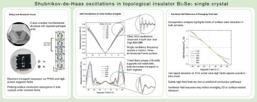 Shubnikov-de-Haas oscillations in topological insulator Bi2Se3 single crystals