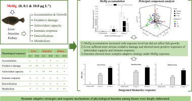 Investigating the physiological mechanisms of juvenile flounder in response to waterborne exposure of methylmercury