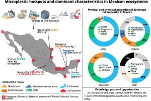 The state of microplastic pollution in México: a review and evolving perspectives