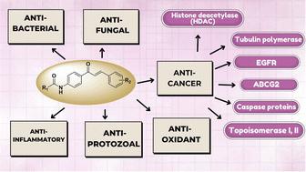 Amide linked chalcone derivatives, a promising class of compounds with versatile biological effects