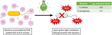 Phloxine B-loaded polymersomes enable eradication of Pseudomonas aeruginosa and Staphylococcus aureus in antimicrobial photodynamic therapy†