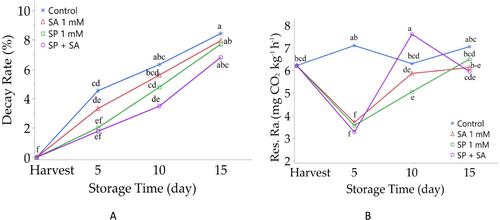 New Approaches in Cold Storage of Fruits: Impact of Postharvest Spermidine and Salicylic Acid Applications on Phenolic Compounds and Quality Characteristics of Raspberry Fruits
