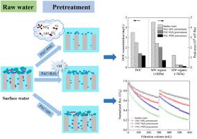 Mitigation of ultrafiltration membrane fouling by peroxides activated by powdered activated carbon: Comparison among sodium percarbonate, hydrogen peroxide and peroxymonosulfate