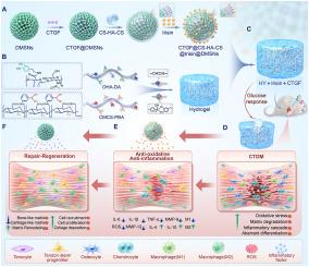 Regulating inflammation microenvironment and tenogenic differentiation as sequential therapy promotes tendon healing in diabetic rats