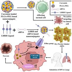 Development of Dry Powder Inhaler formulation for site specific delivery of nanoconjugates loaded with Curcumin and BCL2 siRNA in Lung Cancer