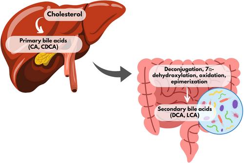 The Impact of Fermented Milk Products on Gut Microbiota-Derived Metabolites in Obesity: A Narrative Review