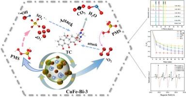 Study on the performance regulation mechanism of in-situ Bi doping on the degradation of tetracycline by Prussian blue analogue activated PMS catalytic system