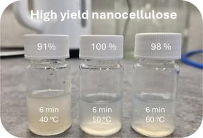 High-yield nanocellulose from supramolecular chemistry-driven delignified softwood