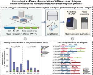 Distinct ARG profiles associated with class 1 integrons in municipal and industrial wastewater treatment plants