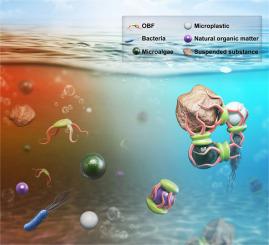 Octopus-like biomass-based flocculant for broad-spectrum water purification