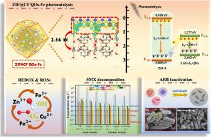 Interfacial architecture on quantum dots modified metal-organic frameworks: Charge transfer mechanism, antibiotic associated pollutants photodegradation and eco-toxicity prediction