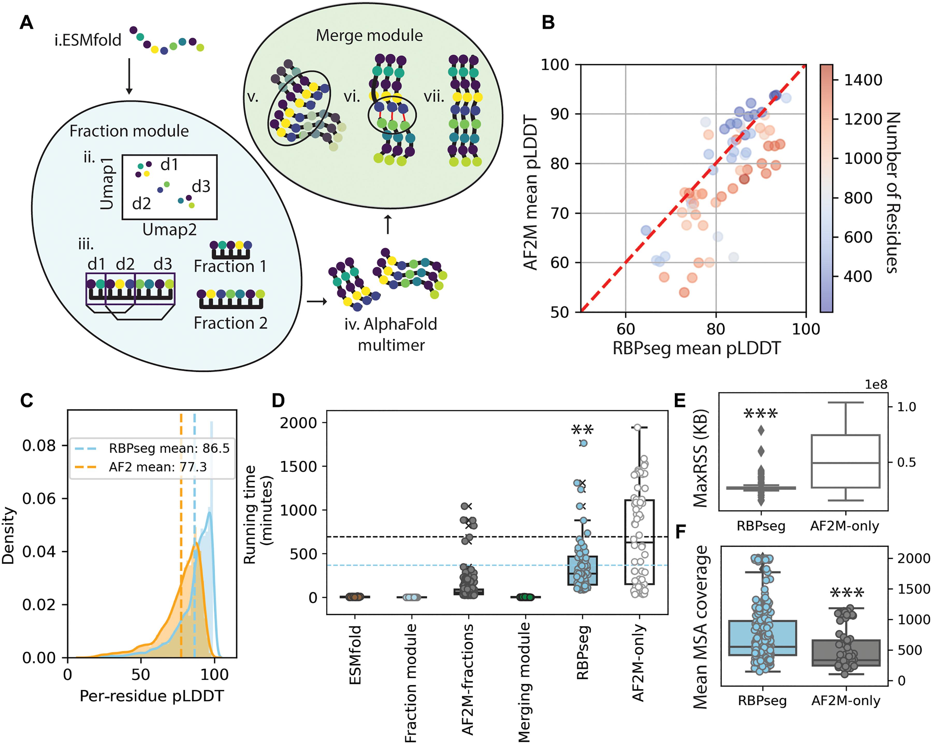RBPseg: Toward a complete phage tail fiber structure atlas