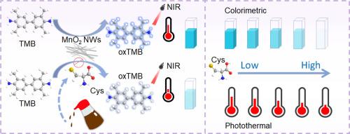 1D MnO2 nanowires as active oxidase mimics in fabrication of colorimetric/photothermal dual-mode detection system for cysteine in soy sauce