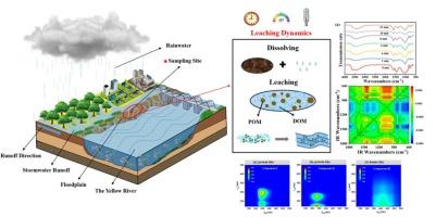 Leaching dynamics of dissolved organic matter and particulate organic matter in stormwater runoff from floodplain soils