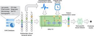 GRU-TV: Time- and Velocity-aware Gated Recurrent Unit for patient representation