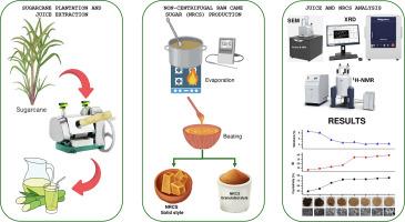 Structural and morphological characterization techniques to define non-centrifugal raw cane sugar styles from different sugarcane maturation stages