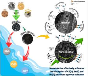 Enhanced heavy metal removal using nano-engineered biochars synthesized under variable pyrolysis conditions and feedstocks