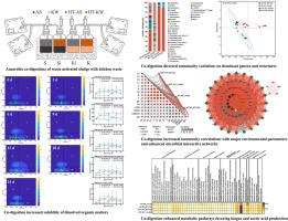 Integrating hydrothermal pretreatment and co-digestion of activated sludge and kitchen waste for enhanced biogas production and microbial mechanism explanation