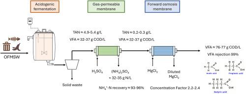 Upcycling fermentation liquors by integrating membrane contactors for nitrogen recovery and forward osmosis for volatile fatty acids up-concentration