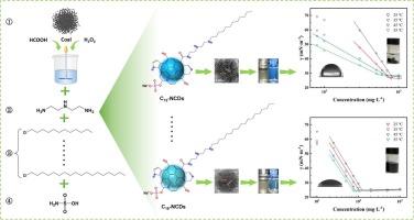 Amphiphilic nitrogen-doped carbon dots derived from bituminous coal: Enhanced oil-water interfacial activity and nanomaterial dispersibility