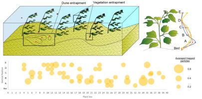 Riparian vegetation as a natural barrier: experimental analysis of plastic particle retention in a vegetated reach