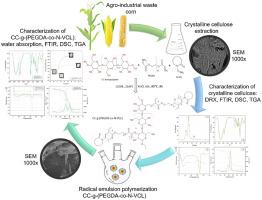 Corn cob valorization: Synthesis of a polymer based on crystalline cellulose with poly(ethylene glycol) diacrylate and N-vinylcaprolactam