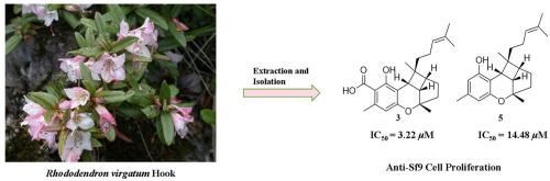 Chemical constituents of Rhododendron virgatum Hook and their chemotaxonomic significance