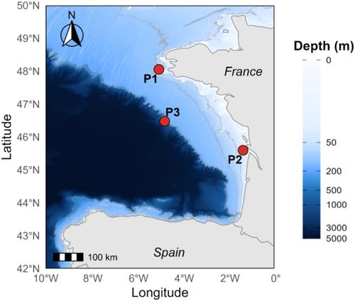 Decaying Uncertainties: Exploring the Role of Decay Rate Variability in Marine eDNA Dispersal Using Lagrangian Transport Modeling
